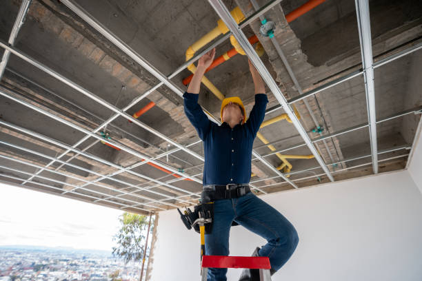 Best Commercial Plumbing Services  in Las Animas, CO